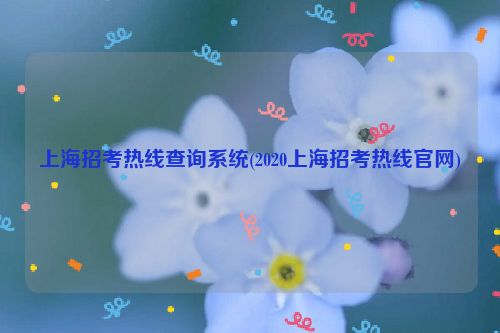 上海招考热线查询系统(2020上海招考热线官网)