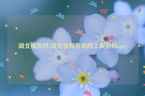 湖北税务网(湖北省税务局网上税务局app)